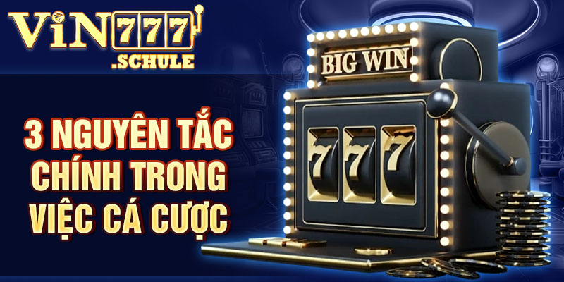 3 nguyên tắc chính trong việc cá cược