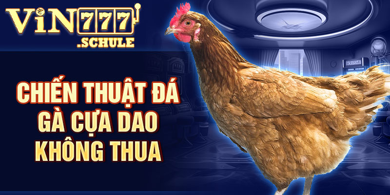 Chiến thuật đá gà cựa dao không thua