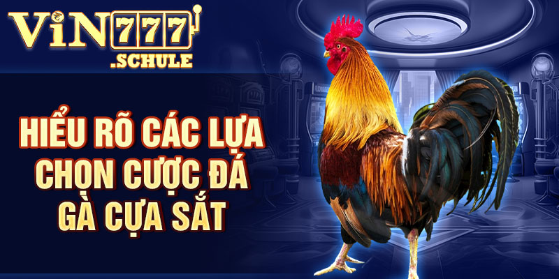 Hiểu rõ các lựa chọn cược đá gà cựa sắt