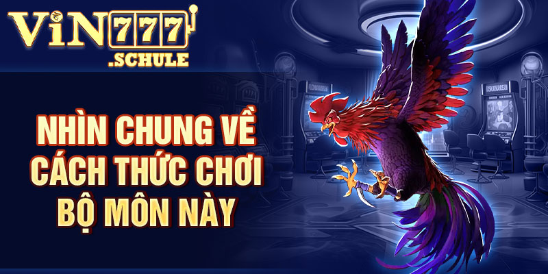 Nhìn chung về cách thức chơi bộ môn này