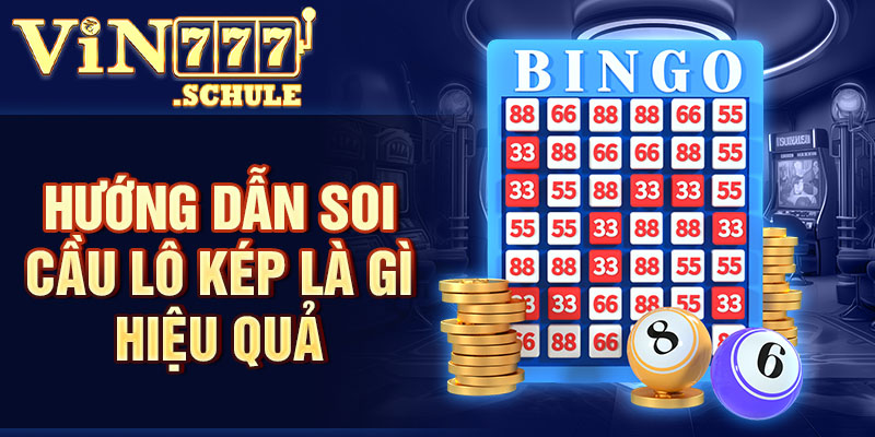 Hướng dẫn soi cầu lô kép là gì hiệu quả