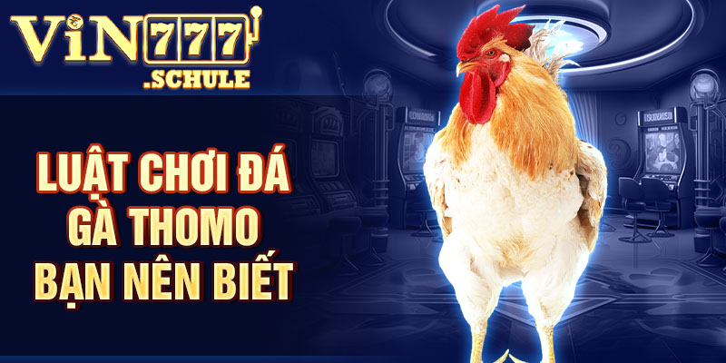 Luật chơi đá gà Thomo hội viên nên biết