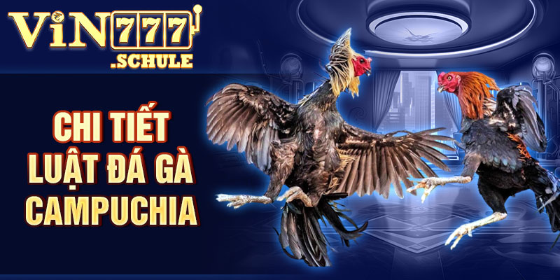 Chi tiết luật đá gà Campuchia hội viên nên biết