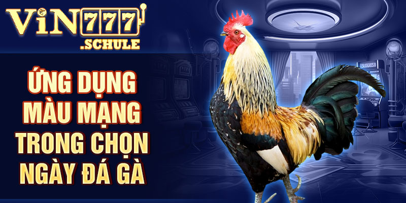 Ứng dụng màu mạng trong chọn ngày đá gà