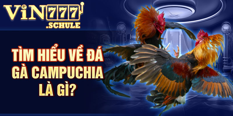 Tìm hiểu đôi nét về đá gà Campuchia là gì?