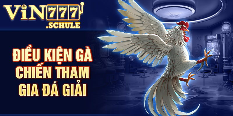 Điều kiện gà chiến tham gia đá giải