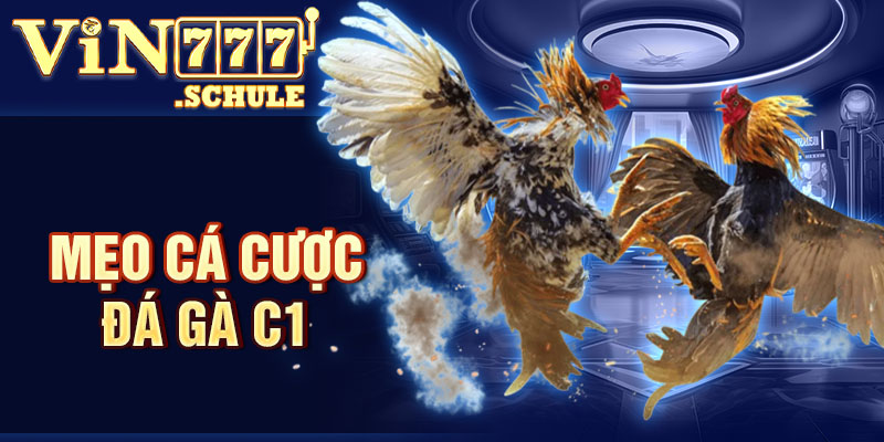 Mẹo cá cược đá gà C1
