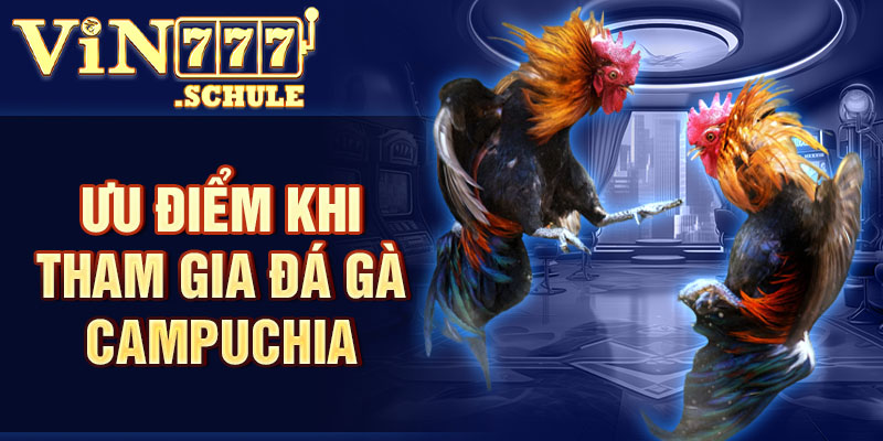 Ưu điểm khi bạn tham gia đá gà Campuchia