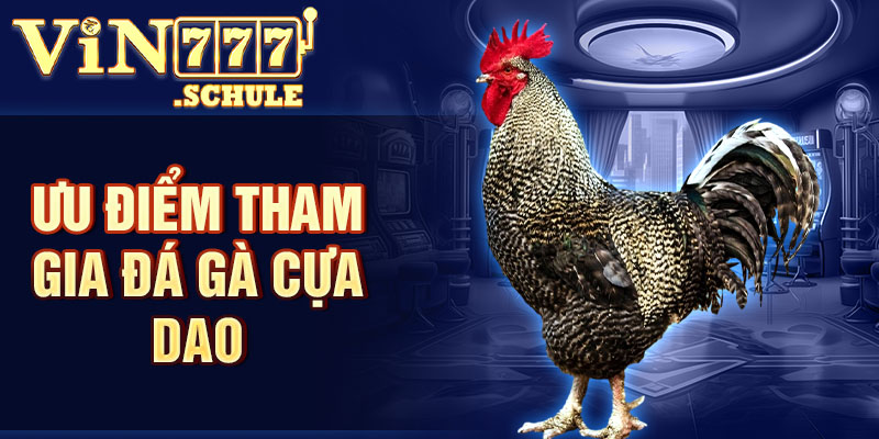 Ưu điểm vượt trội nên tham gia đá gà cựa dao